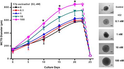 17-β Estradiol up-regulates energy metabolic pathways, cellular proliferation and tumor invasiveness in ER+ breast cancer spheroids